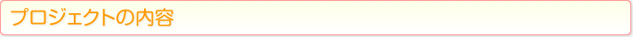 プロジェクトの内容